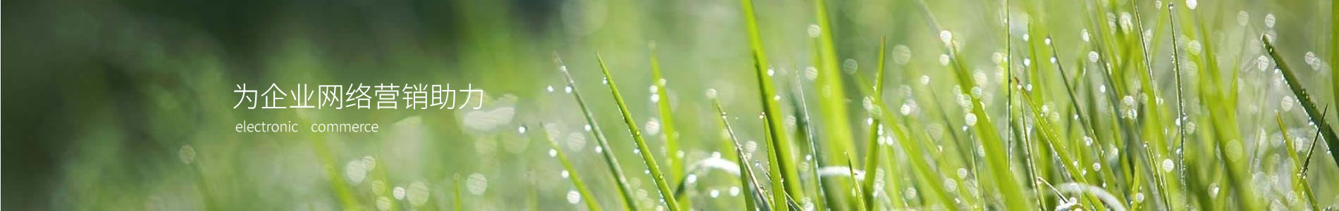soil޹˾